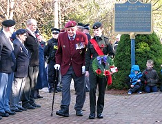 2015
												11 11 Cenotaph, Lion's Head (40a).JPG